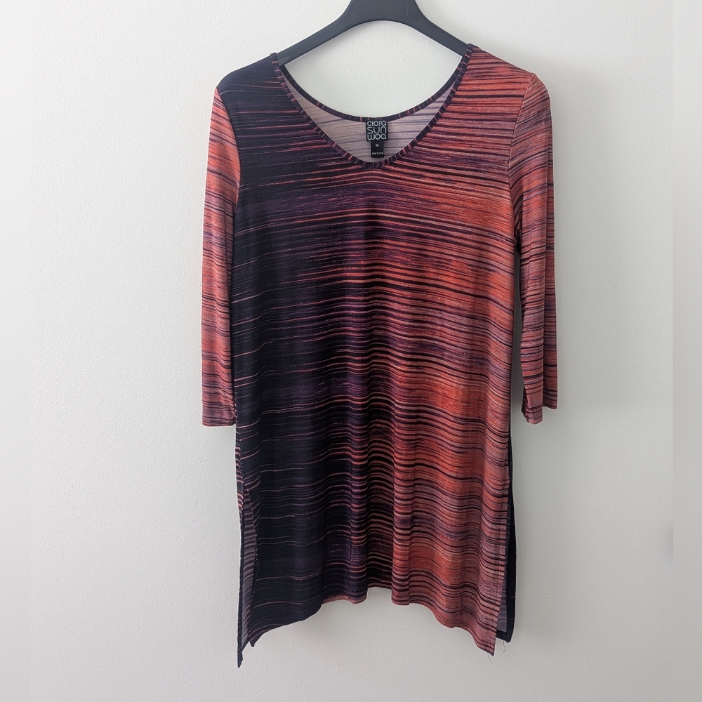 Clara Sun Woo V-Neck Striped Tunic in Black and Rust